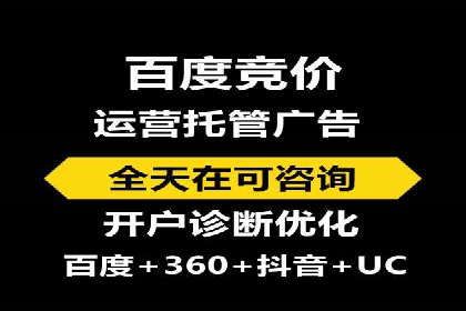 某某sem推广公司在某行业的应用与效果分析